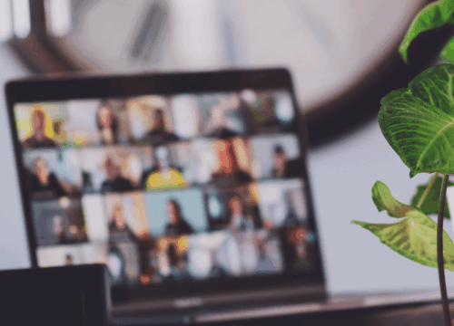 A laptop that showcases a remote meeting. Green plant on the side.